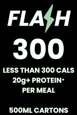 FLASH 300 MEAL PREP